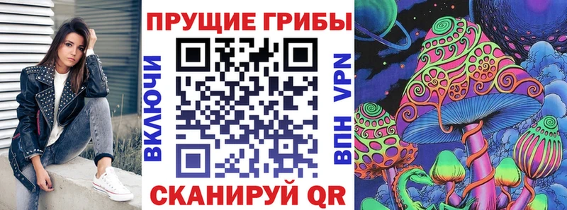 Псилоцибиновые грибы Psilocybe  Ивангород 
